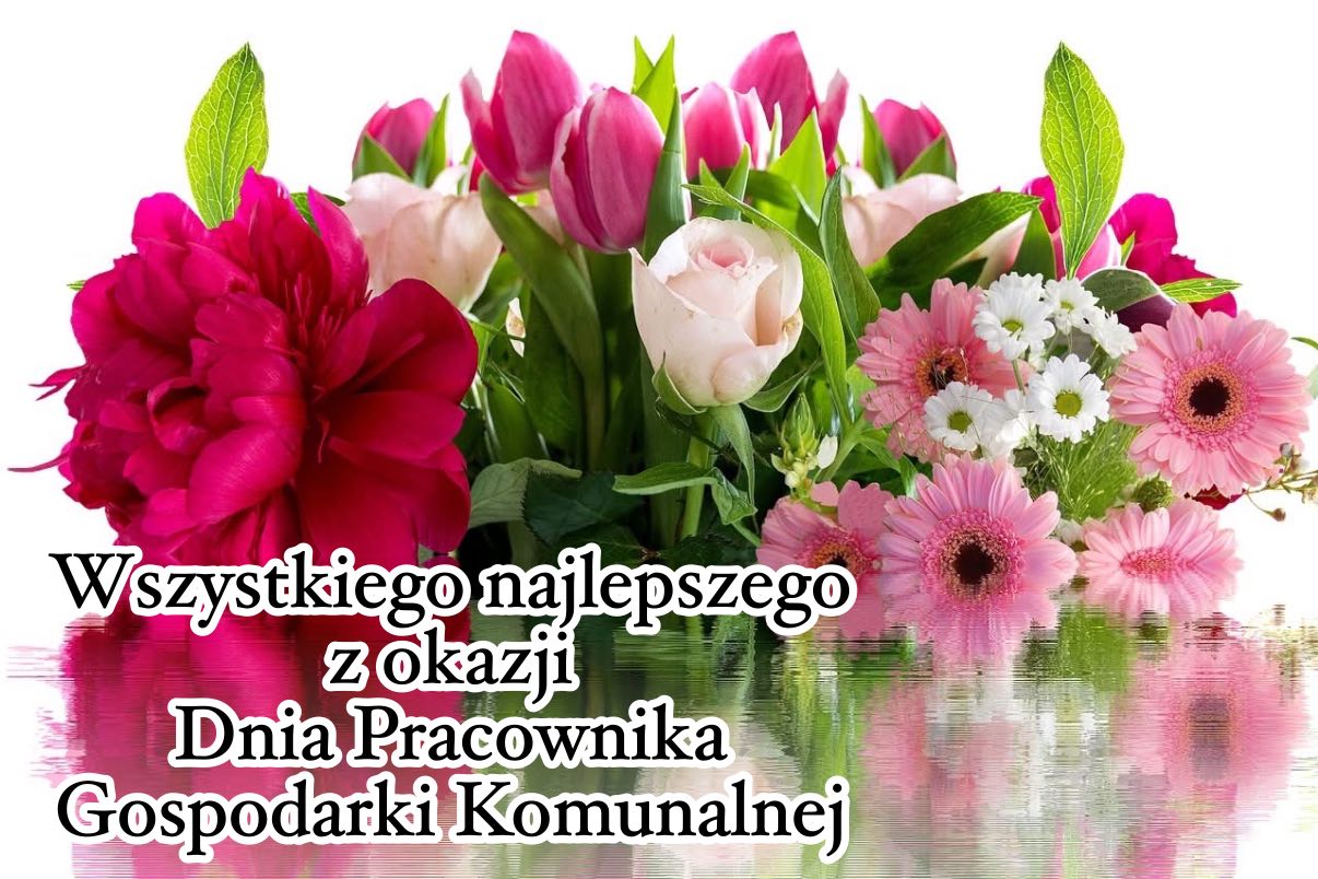 bukiet różnobarwnych kwiatów 