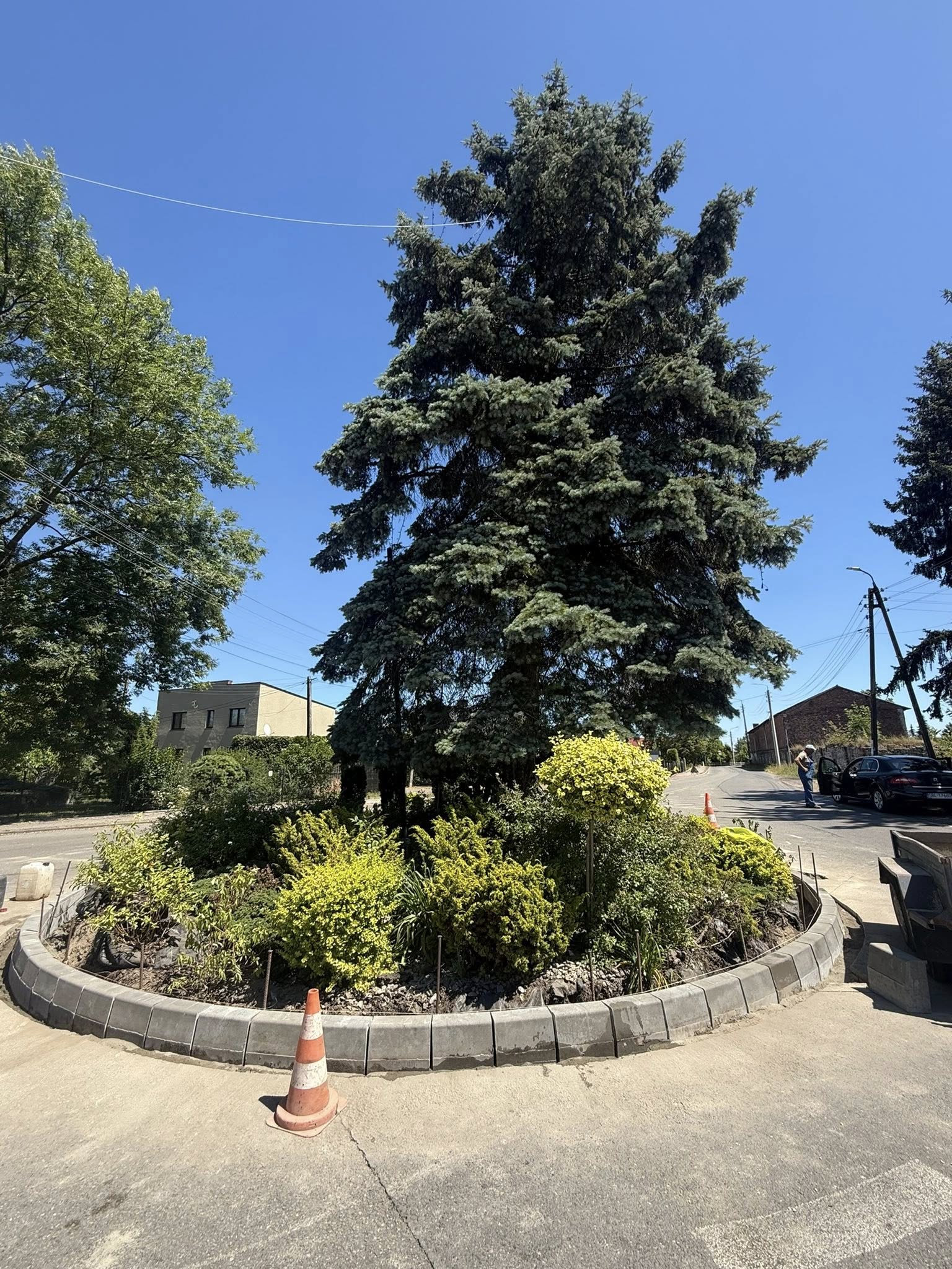 Romdo na który rośnie drzewo i piekna roslinność