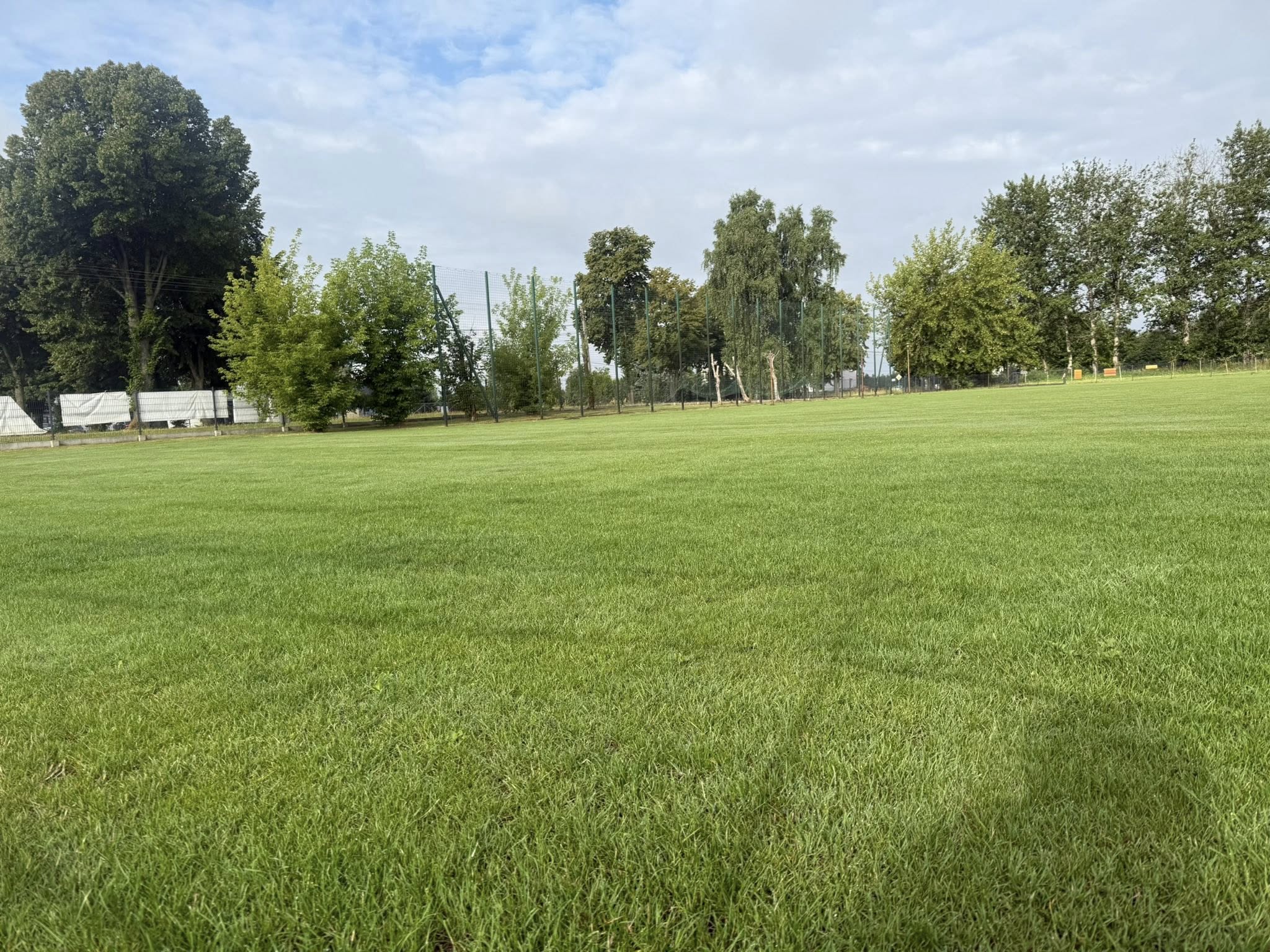 Murawa boiska sportowego