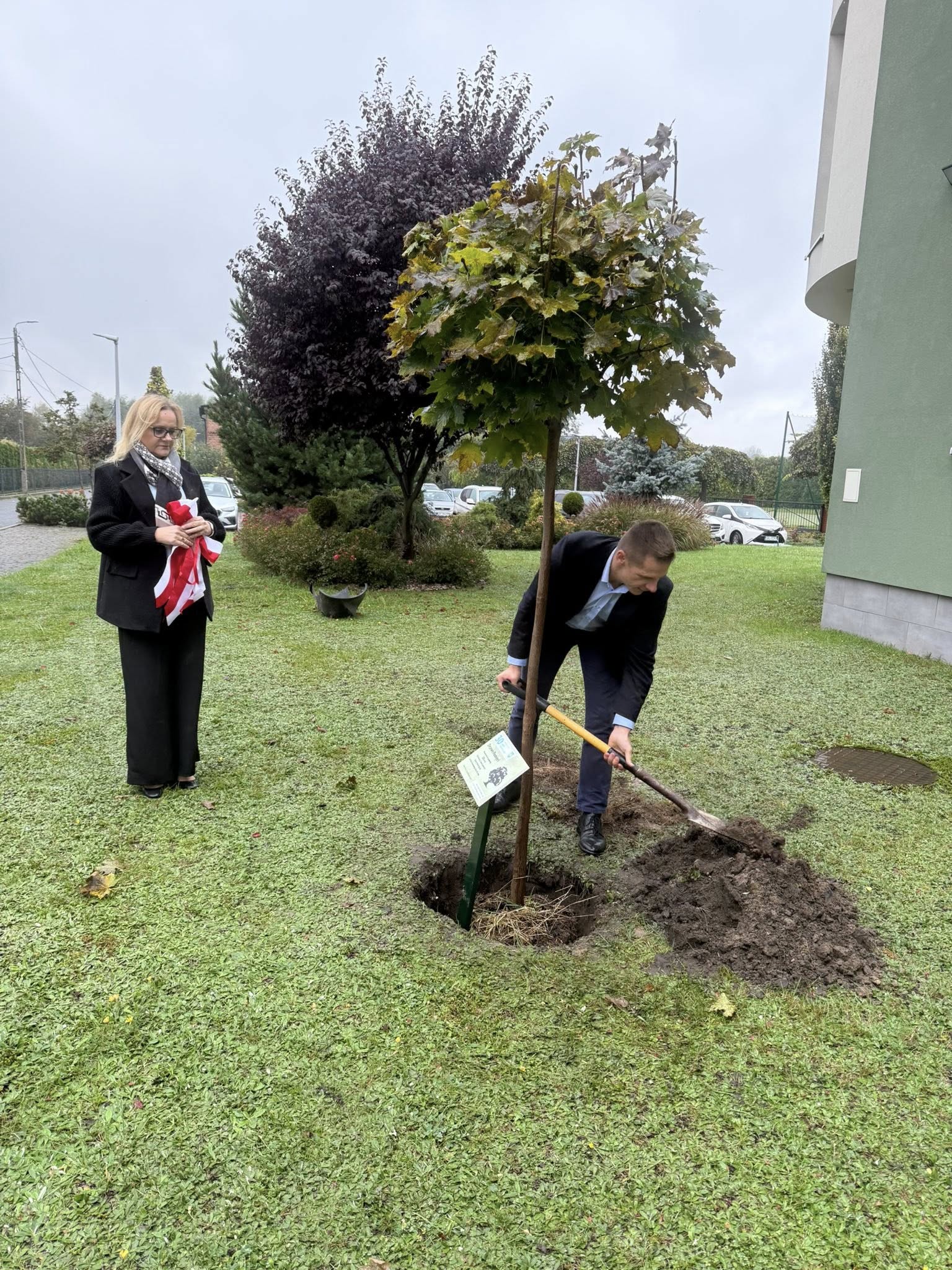 Mężczyzna i kobieta sadzą drzewo 