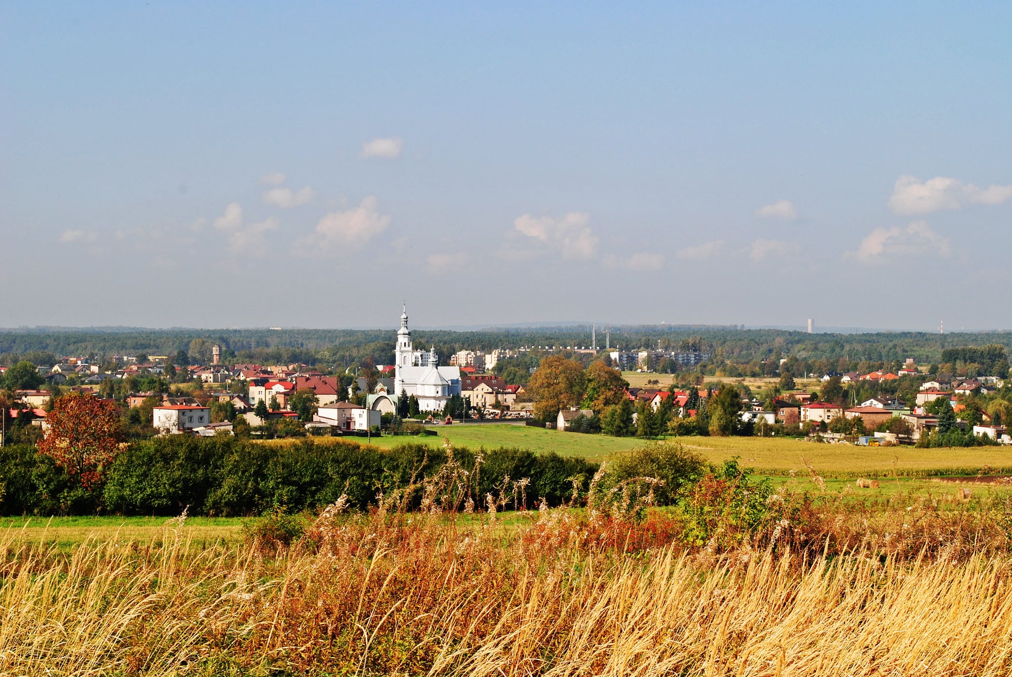 Kraobraz Gminy Chełm Śląski 
