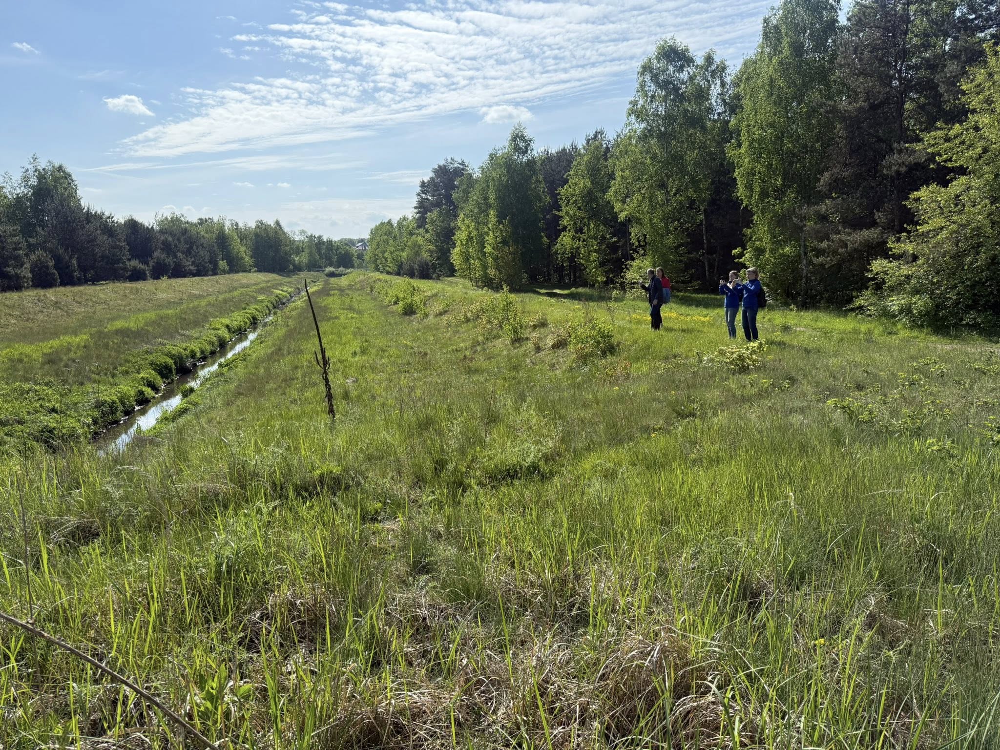 Wały przeciwpowodziowe 